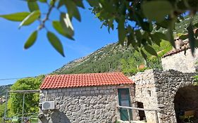 Cottage Melita The Apartment For Animal Lovers
