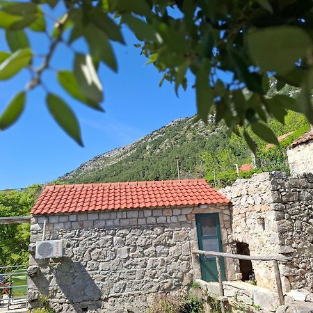 Cottage Melita The Apartment For Animal Lovers Babino Polje Exterior foto